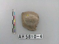 藏品(灰色夾砂陶鈕)的圖片